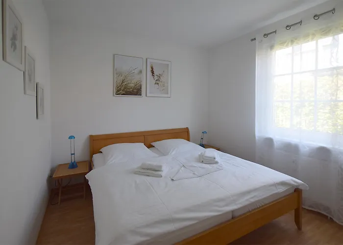 Buchengrund Wo 2 Appartement Prerow